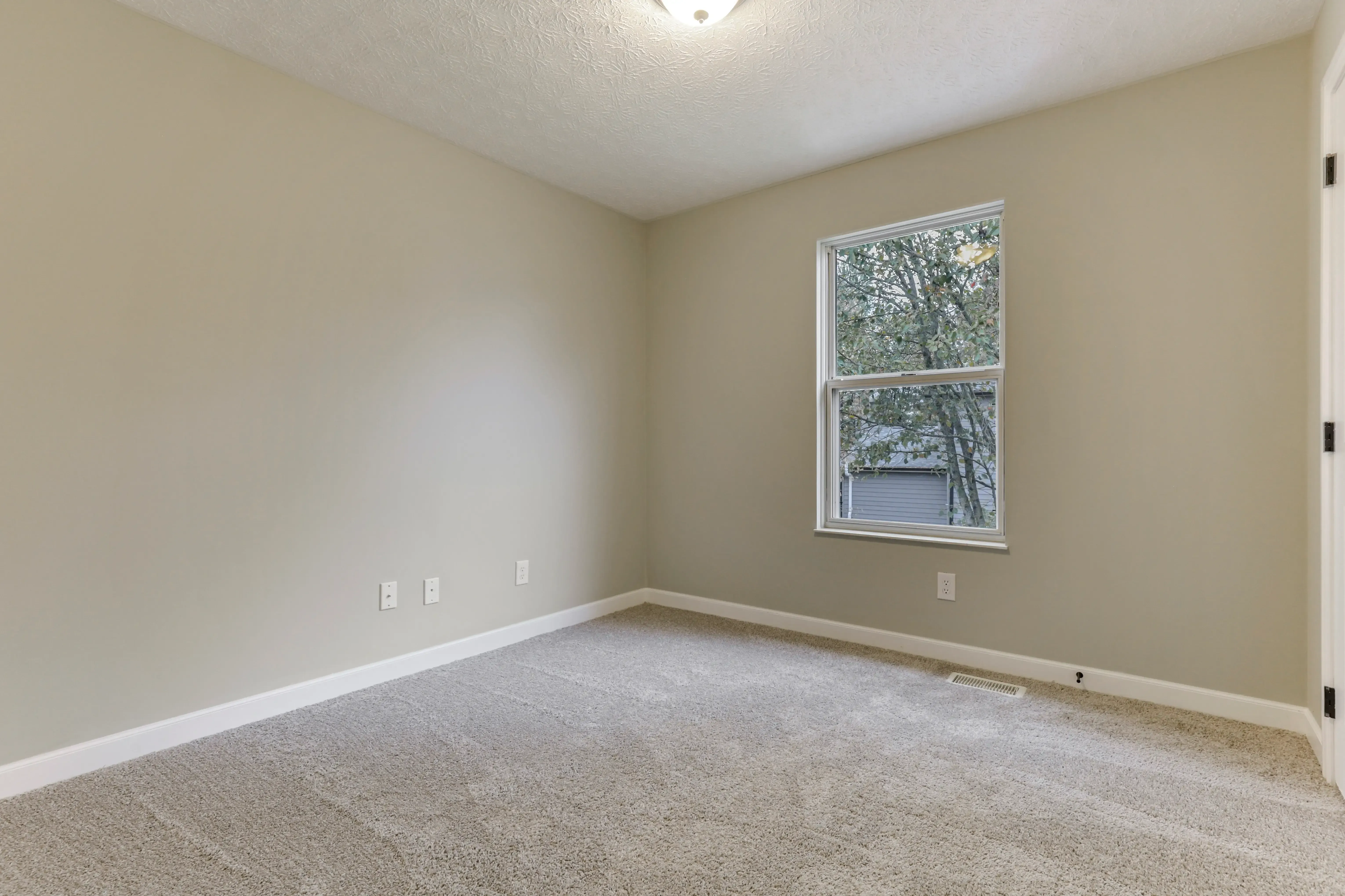 Whole Home Interior Painting